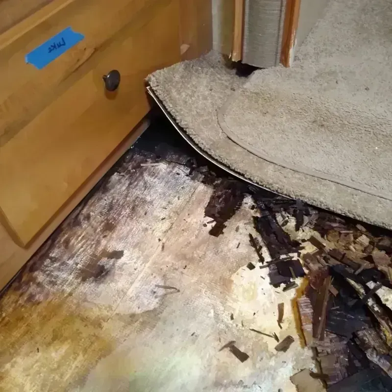 Wood Floor Water Damage in Hampton, IL